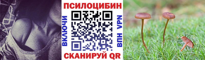 Псилоцибиновые грибы Psilocybine cubensis  Кириллов 