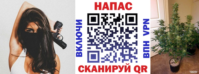 Бошки Шишки White Widow  mega рабочий сайт  Кириллов  где купить наркоту 